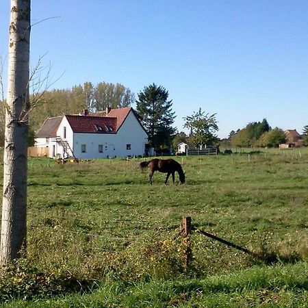 Ferme Lenfant Pension Ville-Pommeroeul Buitenkant foto