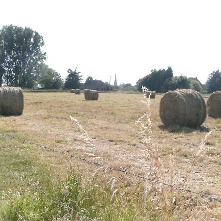 Ferme Lenfant Pension Ville-Pommeroeul Buitenkant foto