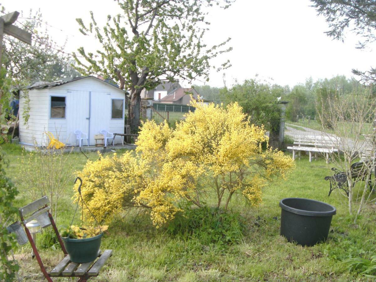 Ferme Lenfant Pension Ville-Pommeroeul Buitenkant foto
