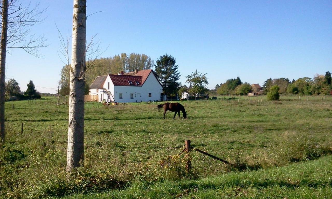 Ferme Lenfant Pension Ville-Pommeroeul Buitenkant foto